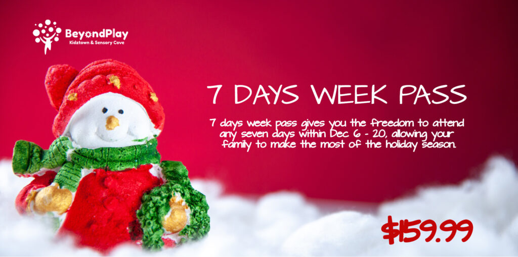 Timeless Christmas Party Canada